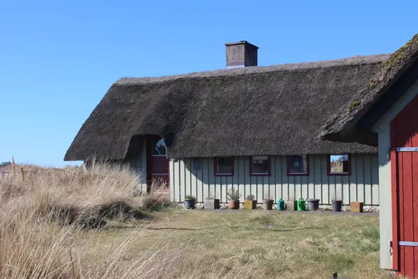 Ferienhaus 1117 in Søndervig / Holmsland Klit