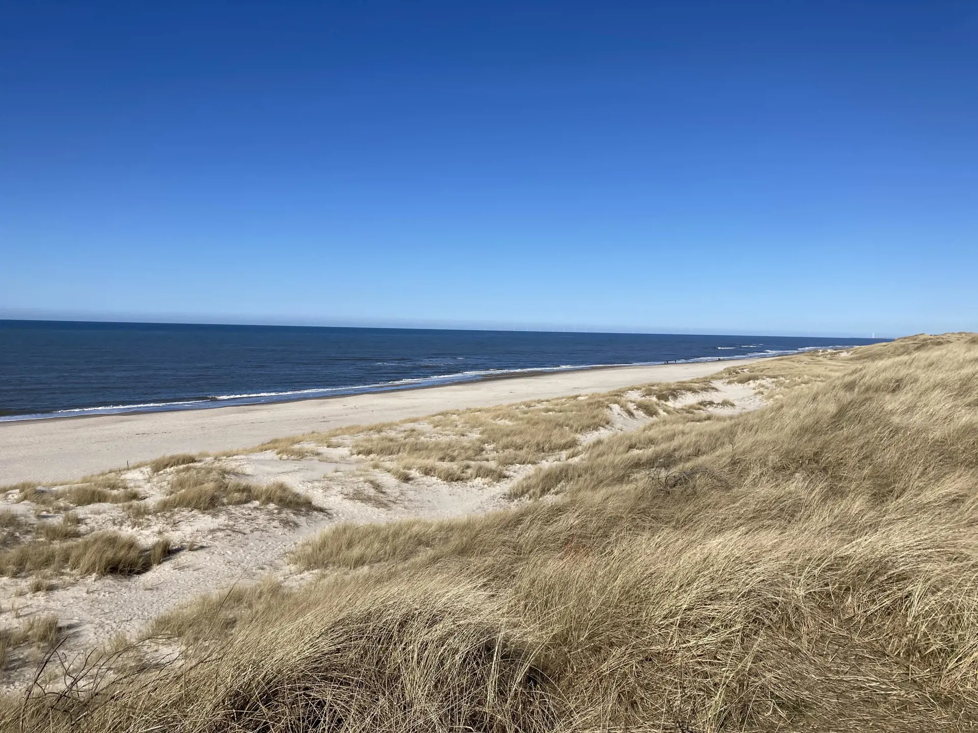 Bild 30 von 31