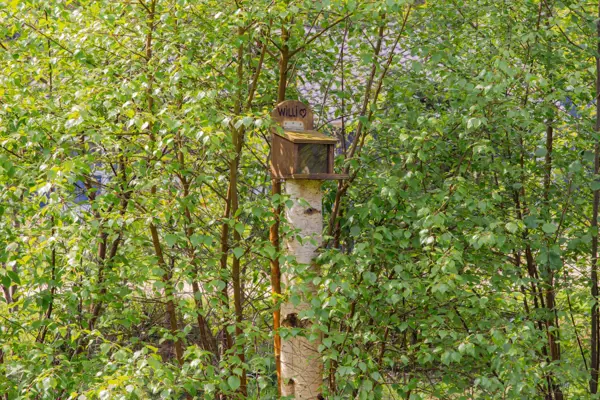 Bild 33 von 36