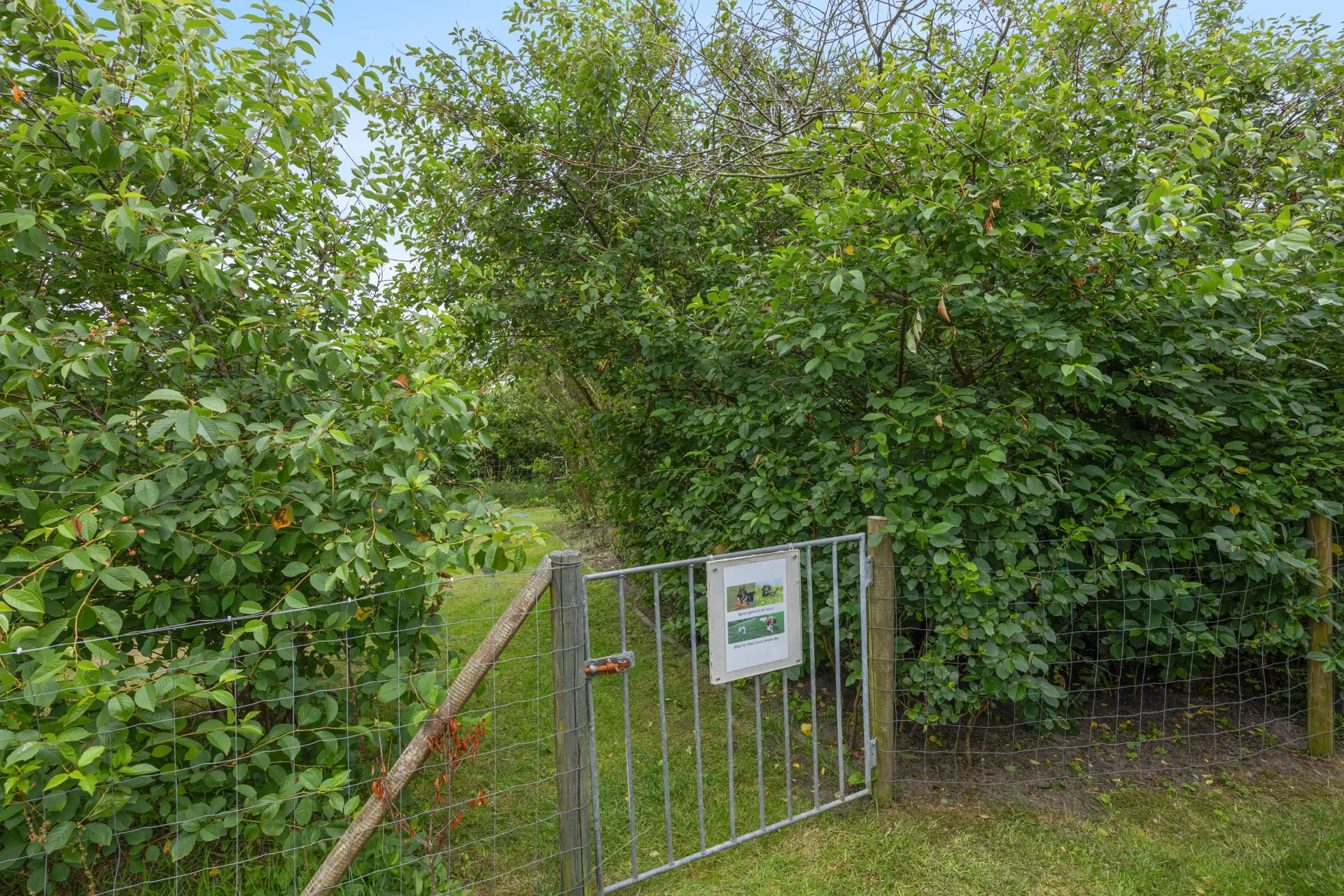 Bild 30 von 36