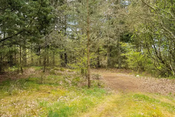 Bild 38 von 41