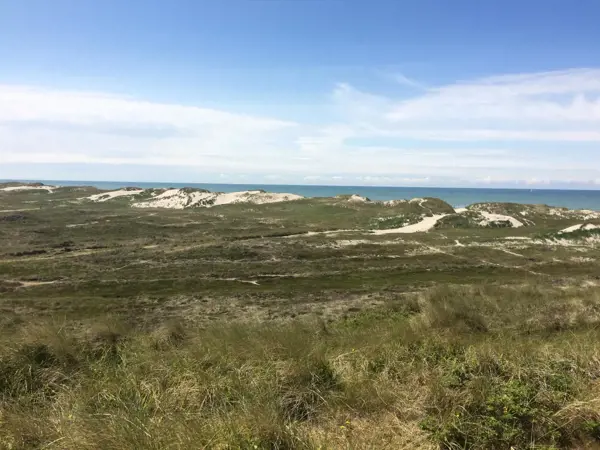 Bild 32 von 34