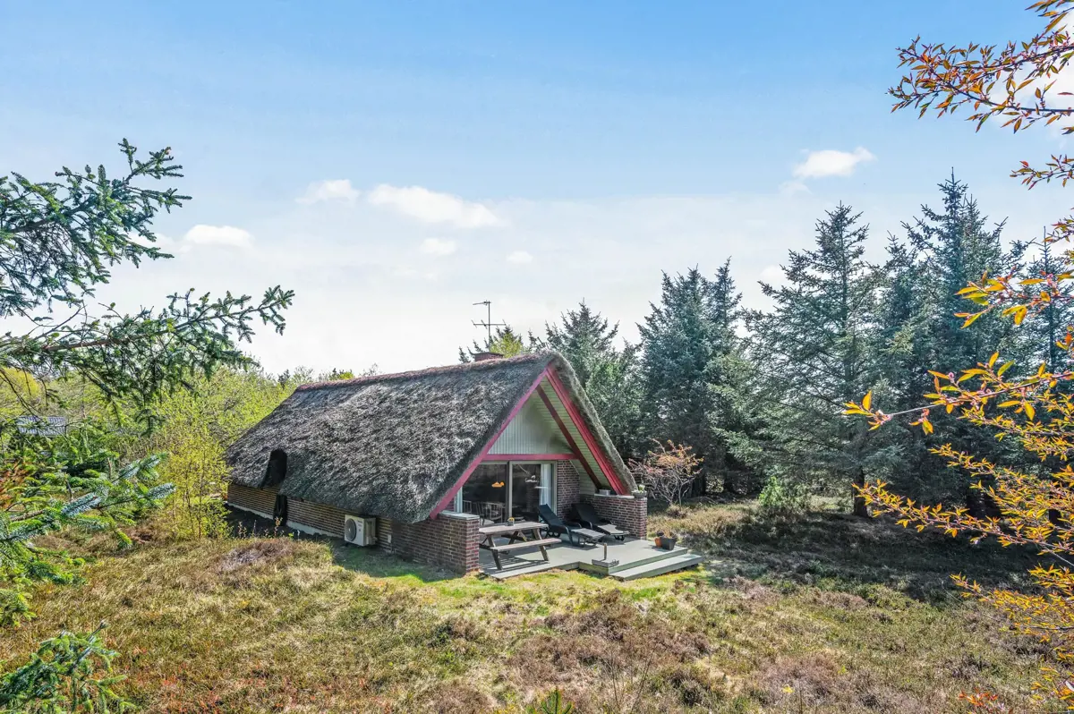 ferienhaus-kw1381-in-brunbjergvej-45-lodbjerg-hede