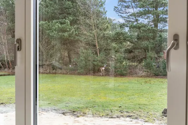 Bild 16 von 39