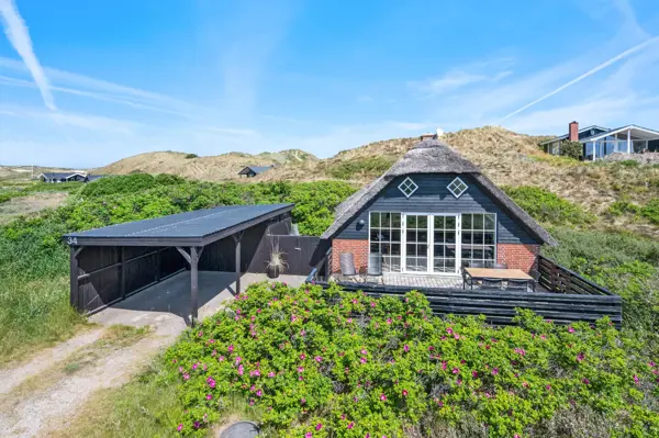 Ferienhaus D3631 in Haurvig / Holmsland Klit