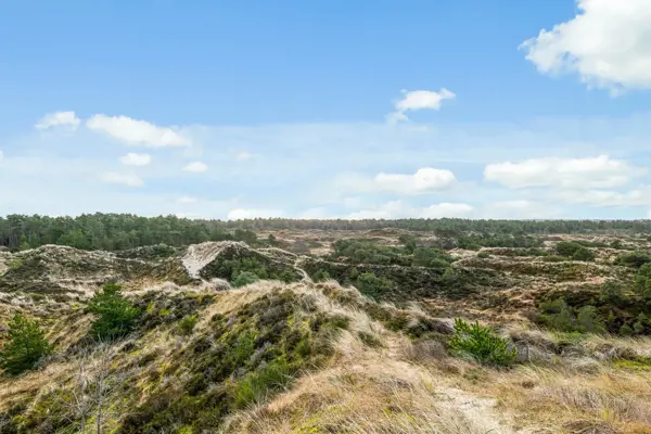 Bild 37 von 37