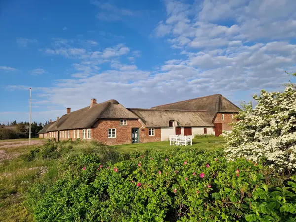 Ferienhaus G5218 in Nr. Lyngvig / Holmsland Klit