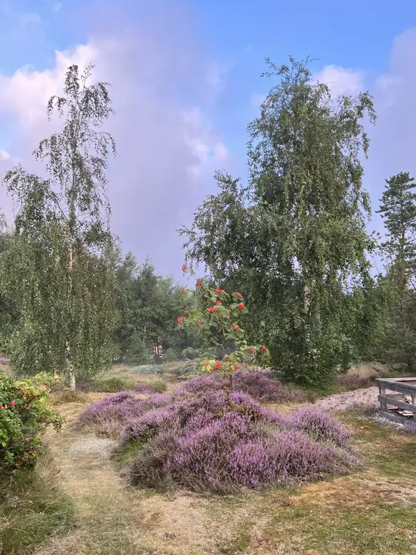 Bild 29 von 32