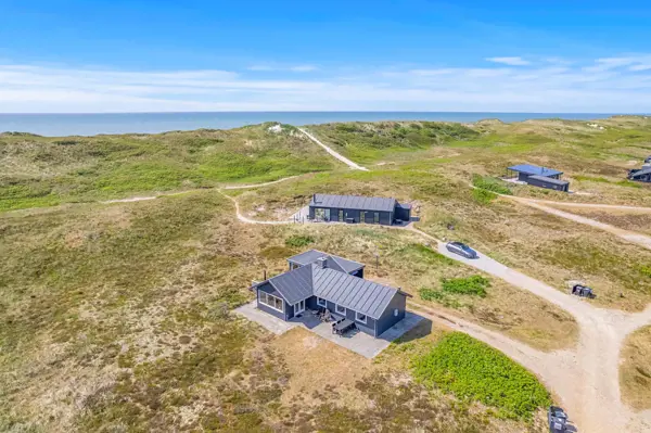 Ferienhaus A1042 in Bjerregard / Holmsland Klit