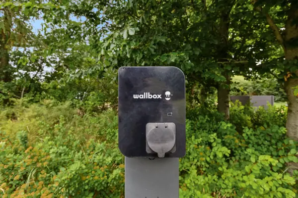 Bild 36 von 36