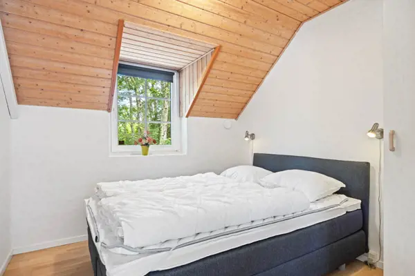 Bild 23 von 55