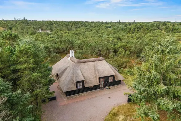 Ferienhaus 60588 in Kallesmærskvej 18, Blåvand Strand | Bild 43 von 43