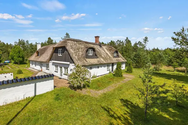 Ferienhaus 30481 in Houstrup Strand / Houstrup