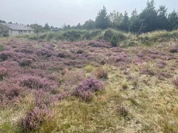 Bild 37 von 37