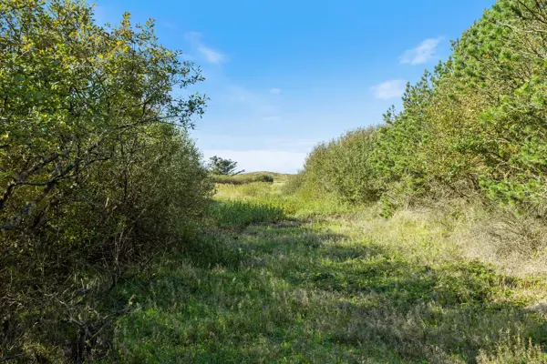 Bild 26 von 32