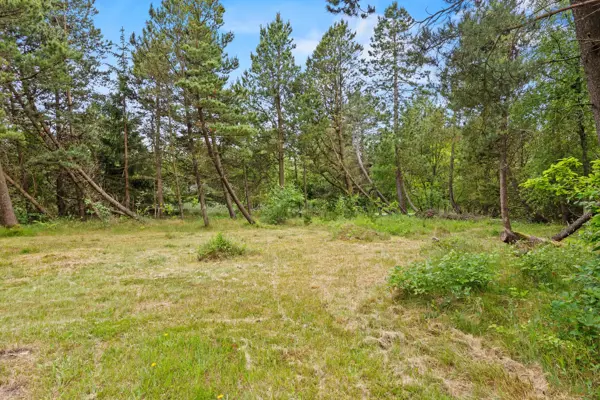 Bild 29 von 30