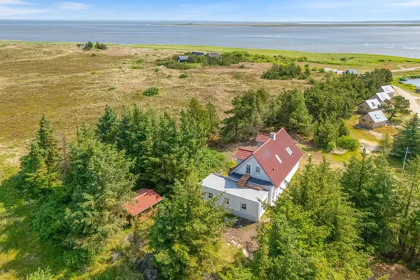 Ferienhaus B2653 in Bjerregard / Holmsland Klit