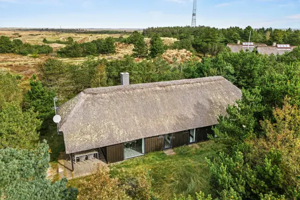 Ferienhaus 60703 in Blåvand Strand / Blåvand