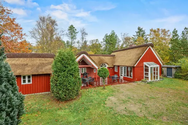 Ferienhaus 61166 in Ho Bucht / Blåvand