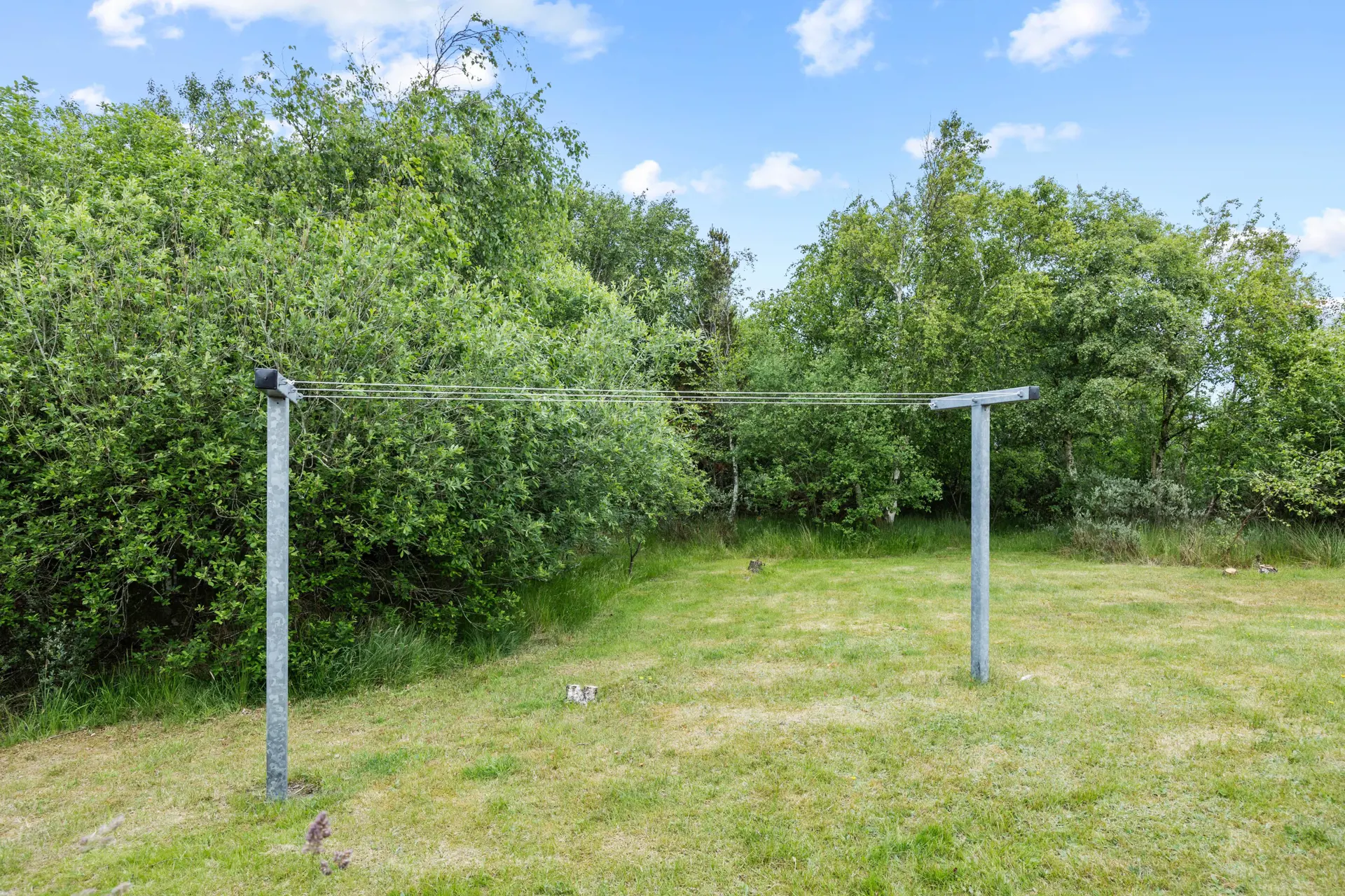 Bild 37 von 39