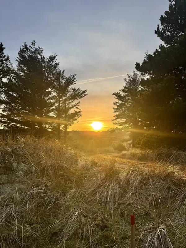 Bild 37 von 40