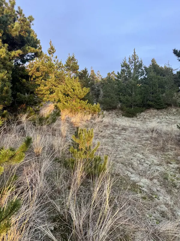 Bild 38 von 40