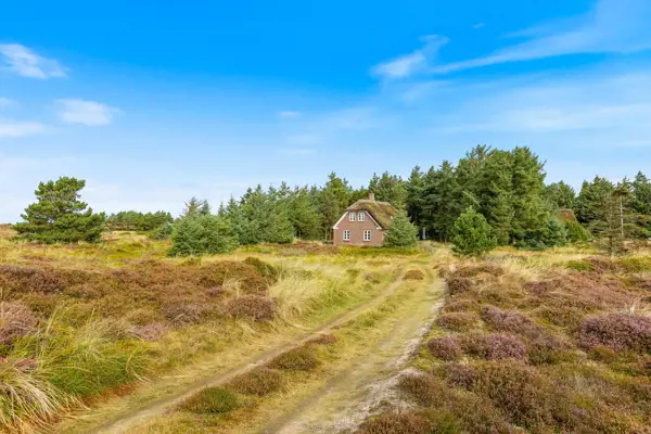 Ferienhaus 60757 in Sydslugen 1A, Blåvand Strand | Bild 30 von 30