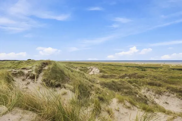 Bild 31 von 35