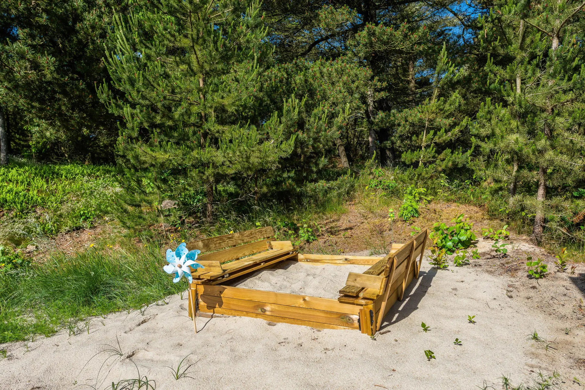 Bild 32 von 55
