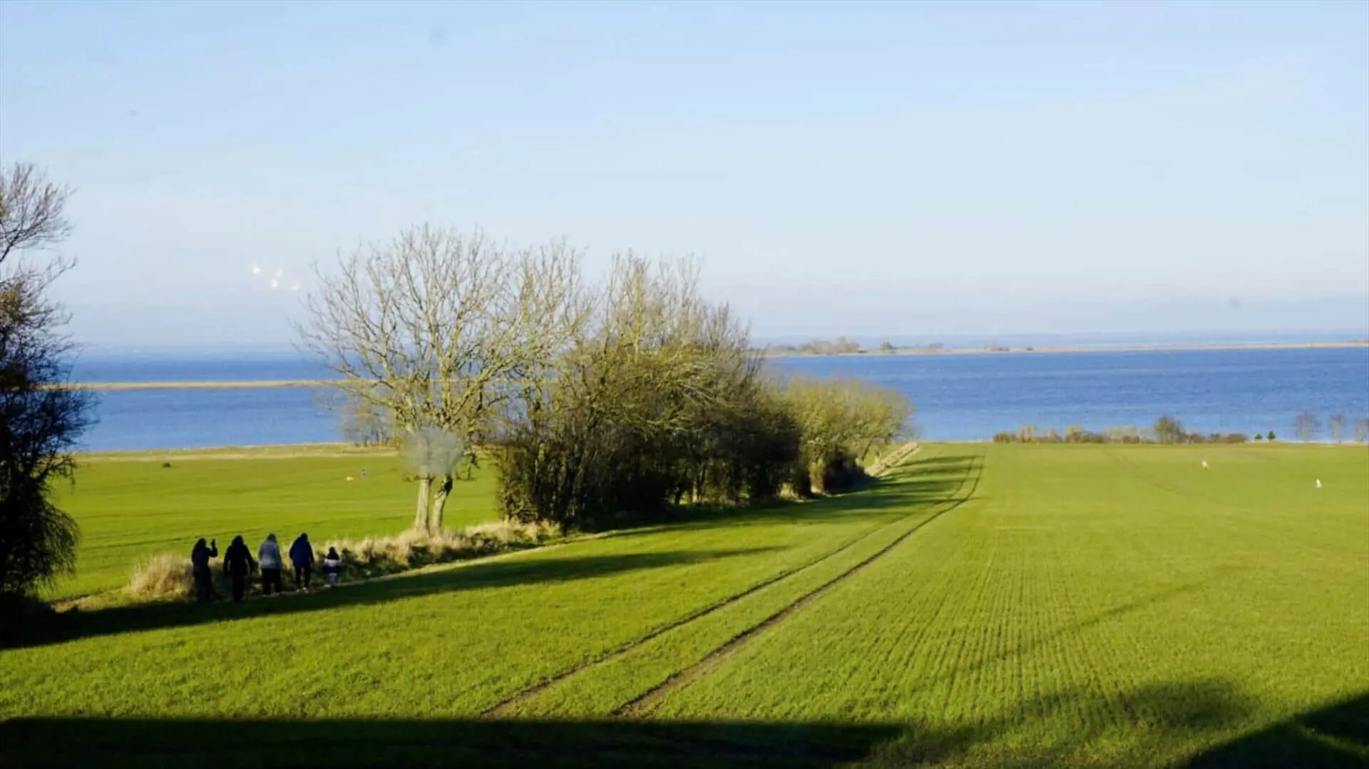 Bild 16 von 17
