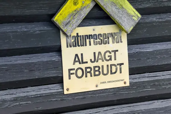 Bild 46 von 56