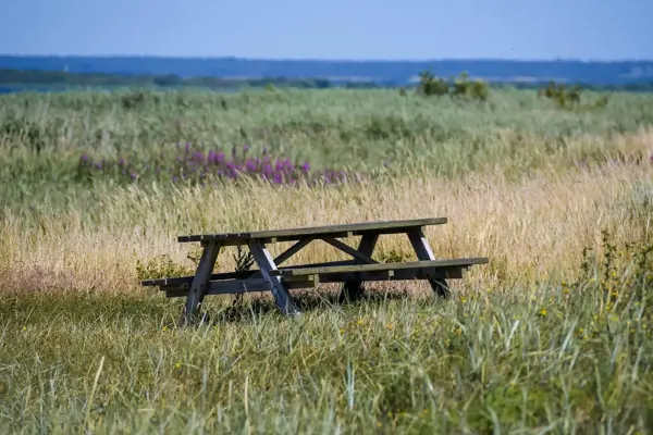 Bild 55 von 56