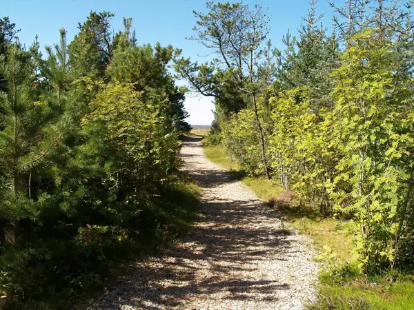 Bild 39 von 40
