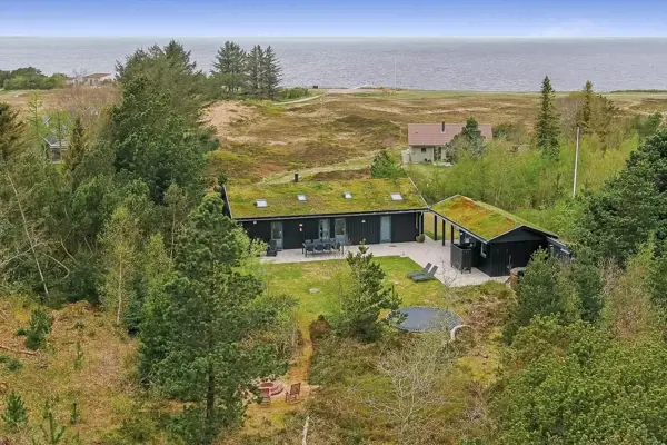 Ferienhaus C11585 in Hemmet / Ringkøbing Fjord