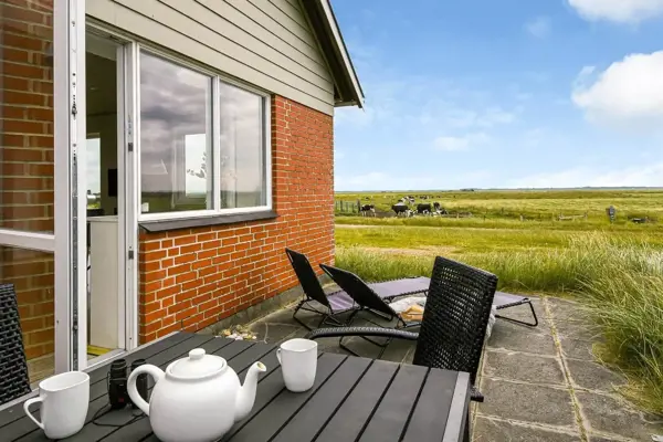 Ferienhaus C11602 in Tipperne / Ringkøbing Fjord