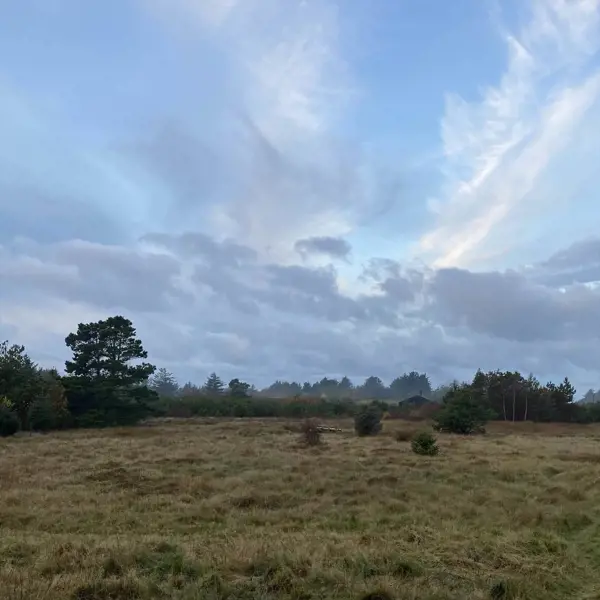 Bild 38 von 45