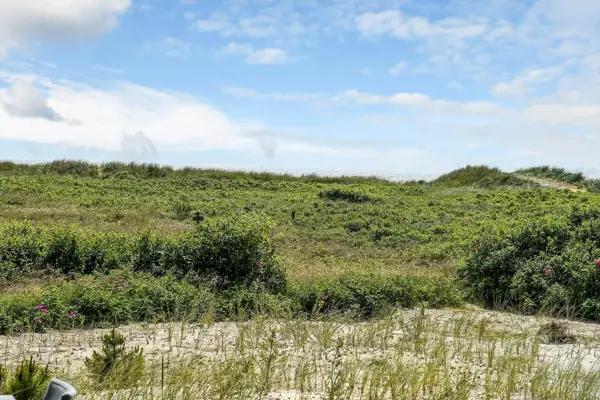 Bild 49 von 53