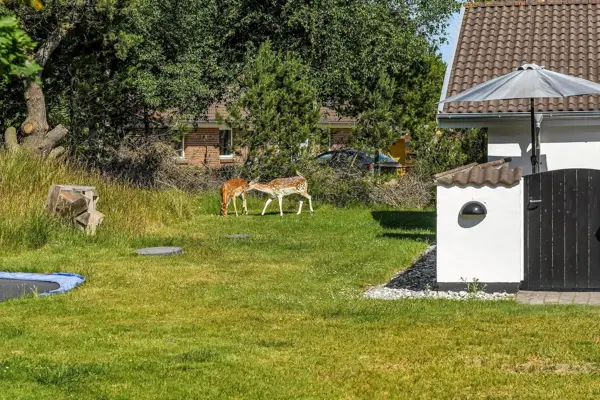 Bild 51 von 53