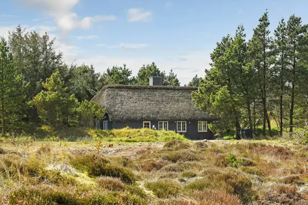 Ferienhaus BV417 in Blåvand Strand / Blåvand