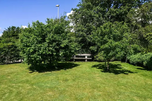 Bild 37 von 39