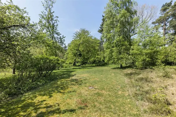 Bild 20 von 20