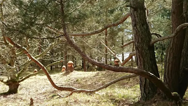 Bild 22 von 23