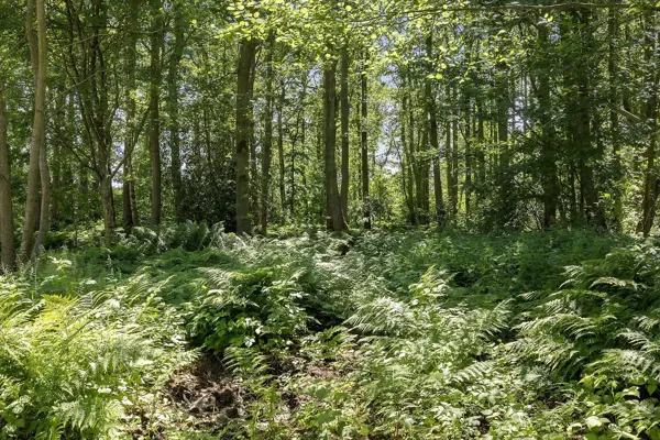 Bild 17 von 19