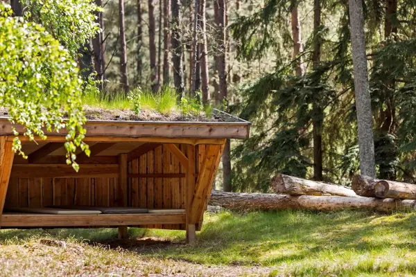 Bild 17 von 20
