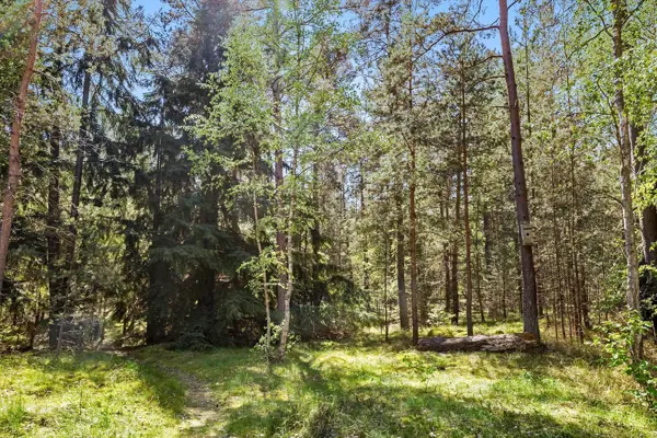 Bild 19 von 20
