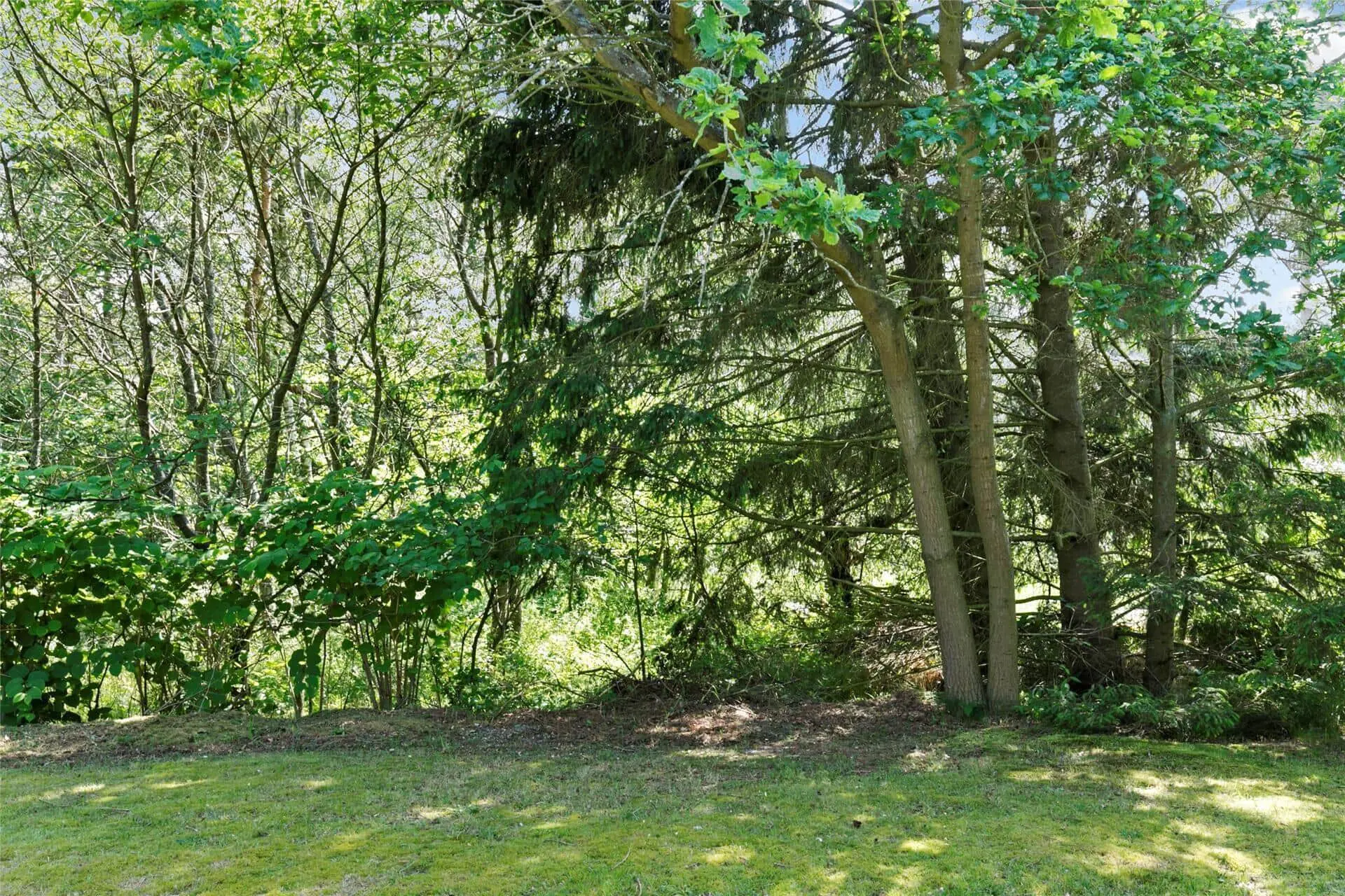 Bild 20 von 20