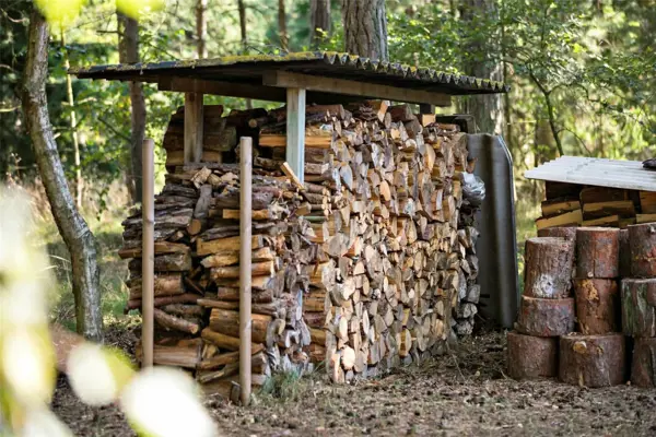 Bild 19 von 20