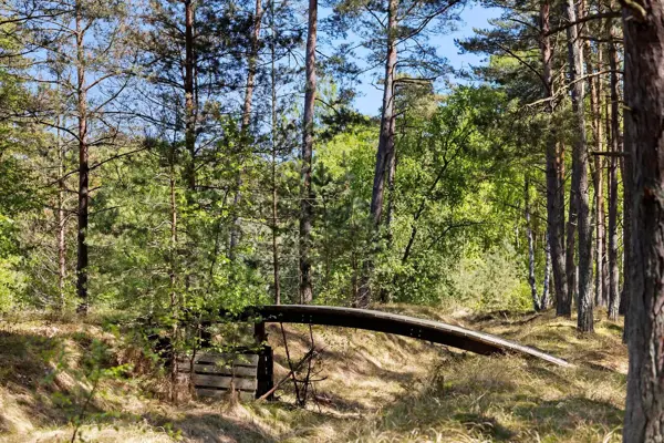 Bild 16 von 17