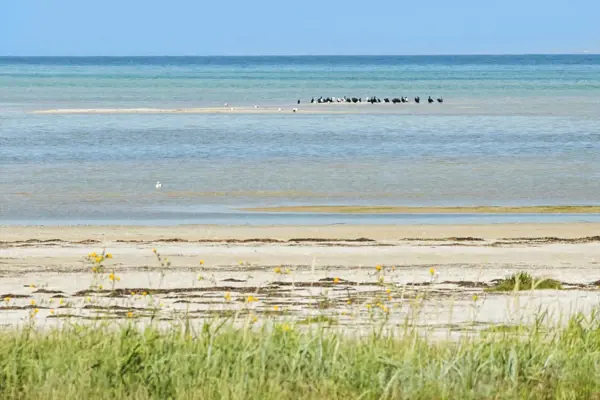 Bild 25 von 29