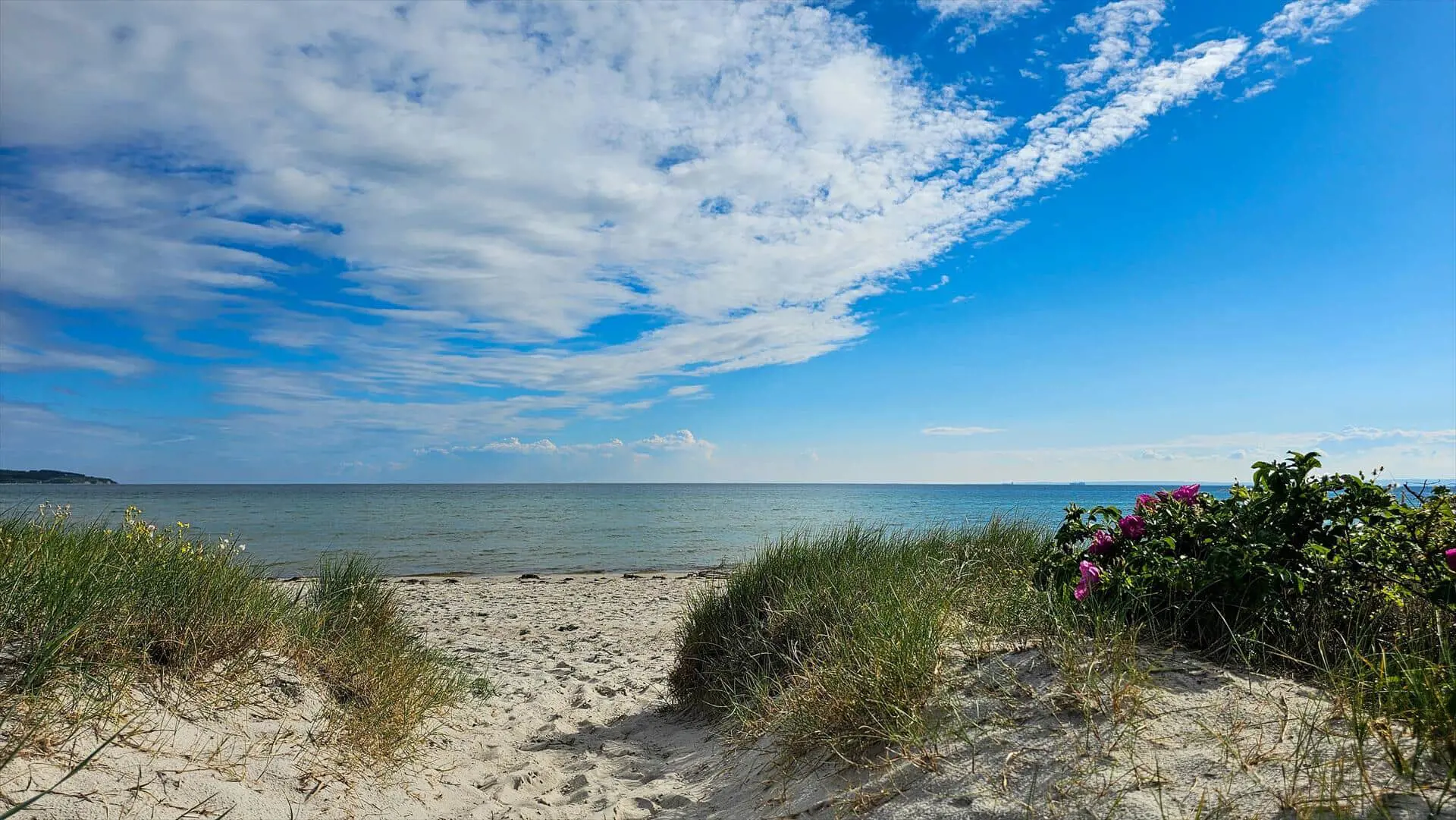Bild 19 von 24